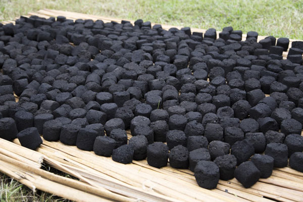 making charcoal from bagasse