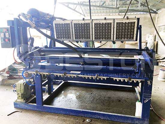 Small Egg Tray Machine