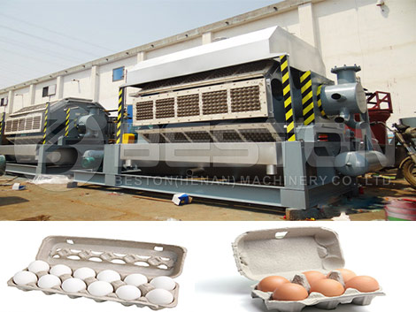 Egg Carton Making Machine