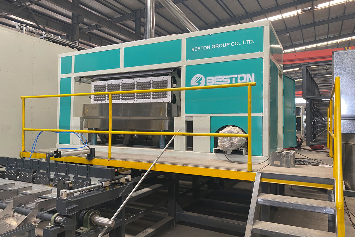 Investing In a Paper Tray Molding Machine