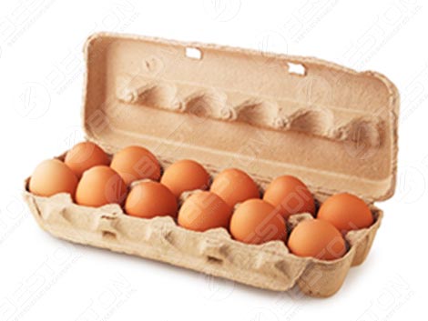 12 Egg Carton